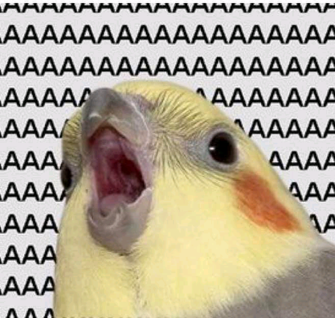 Breezepeltwow breezepeltwow
