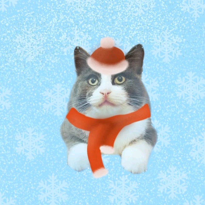 😻Котёнок Пушок🐈 kat_pyshok