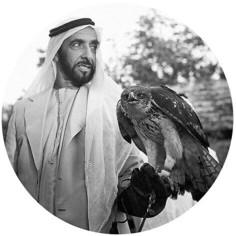🕊💙 .m6o6
