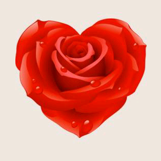 (faris faris1234562