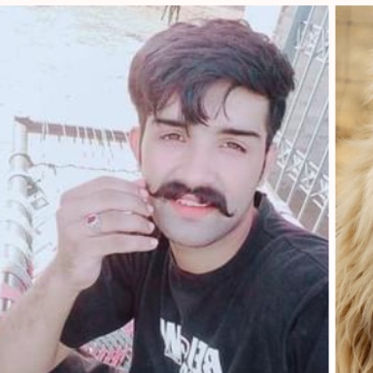CHEEMA cheemasab751