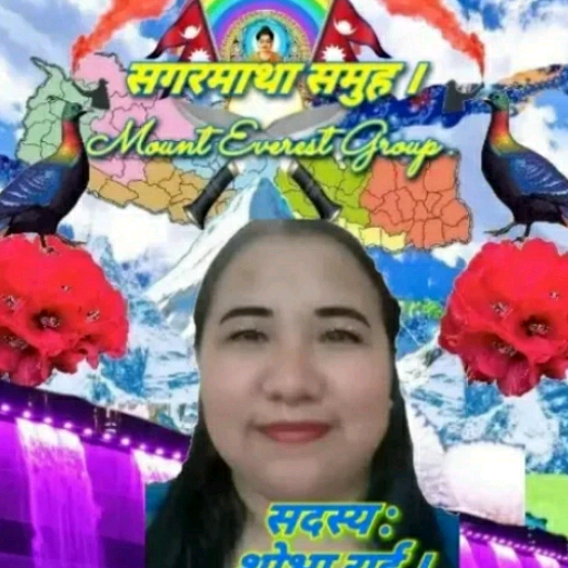 user340136226482 shovarai61