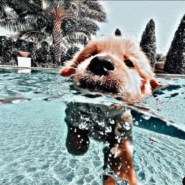 offline☺️💗 tumble.charli