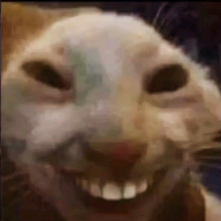 دلاد pppphp0