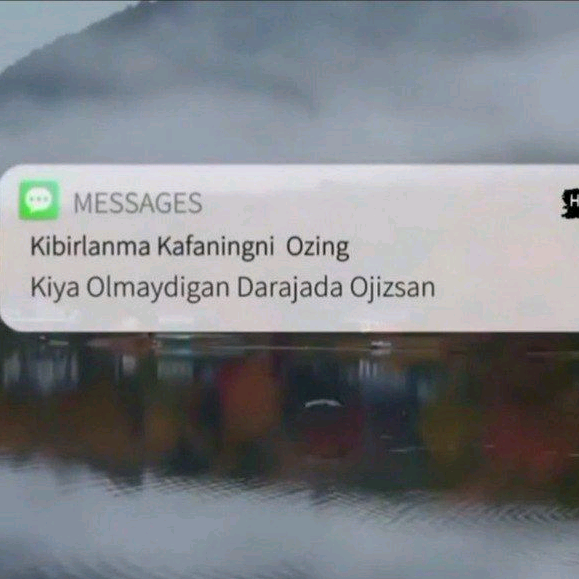 Абдуллаев__N1✅ abdullayev_____n1