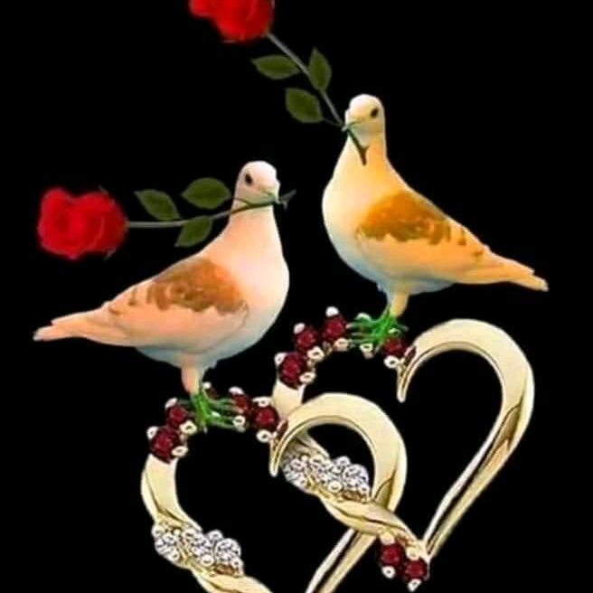 Hayathim boss love rahatafridi73