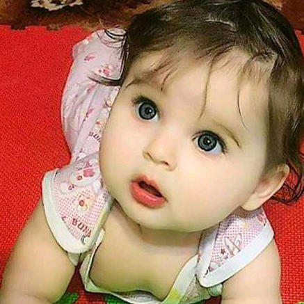 nobihossain8417 nobihossain8417