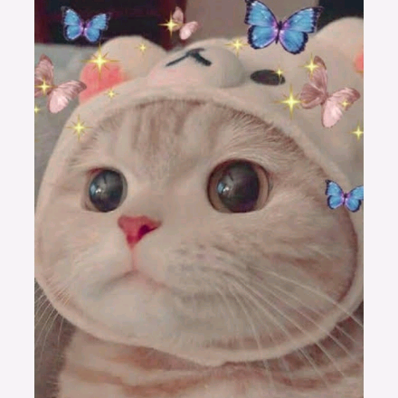 МоЛь(ू•ᴗ•ू❁) molroblox228