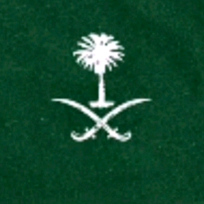 تيم السعودية ____s____x___b