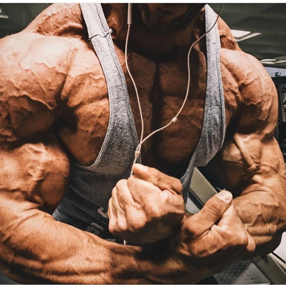 Noel Deyzel noeldeyzel_bodybuilder