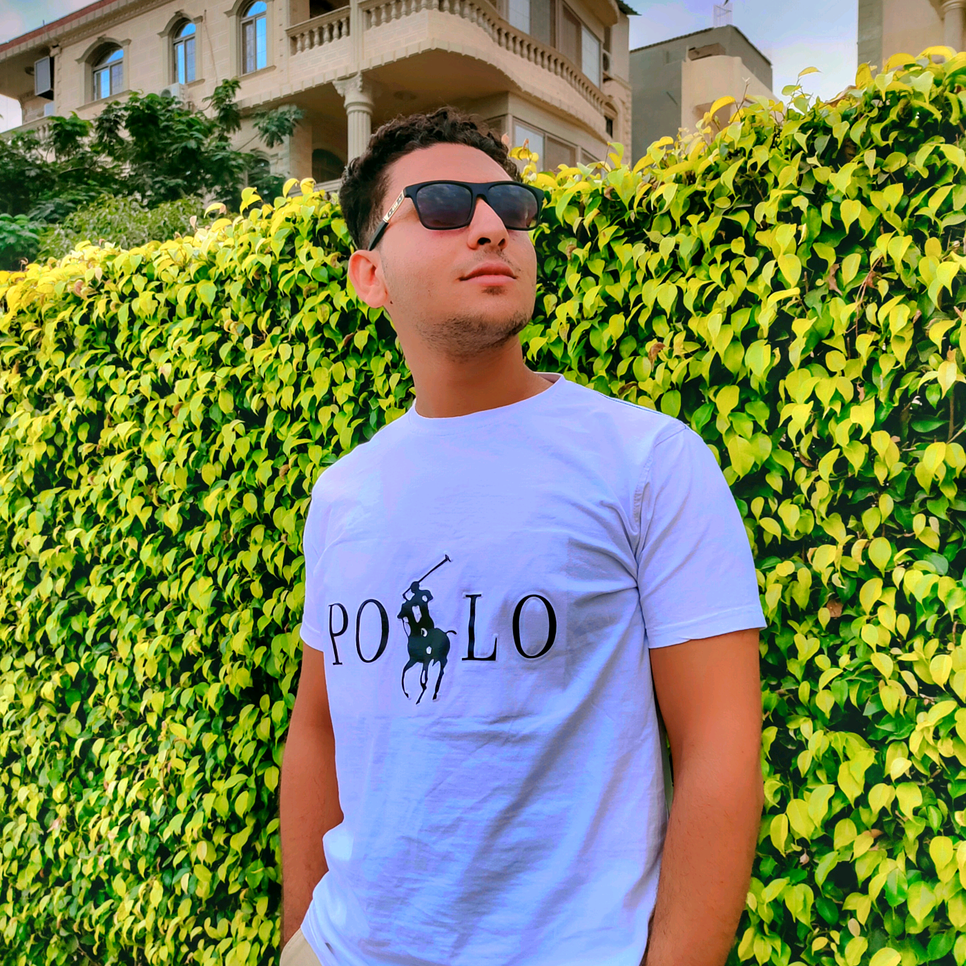 Mohamed_Radwan mohamed_radwan19