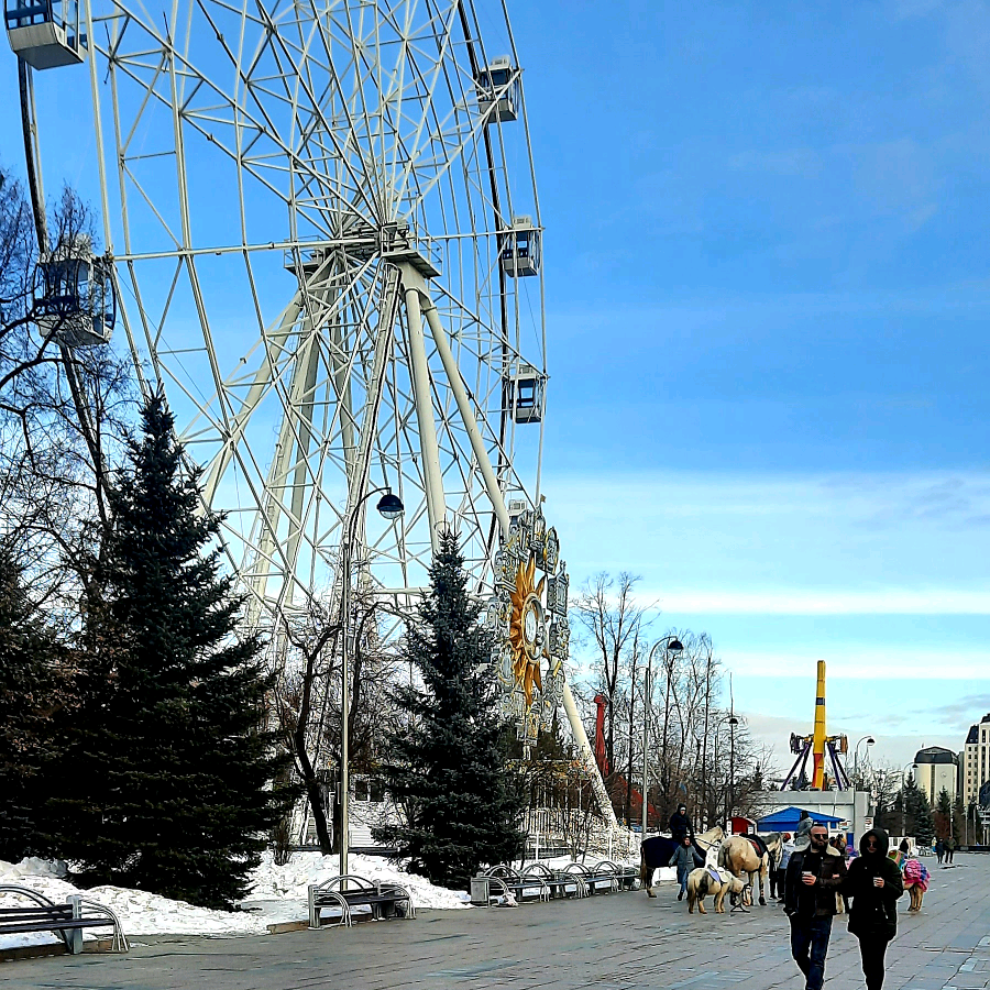 Dilshodbek_2000 dilshodbek.0020