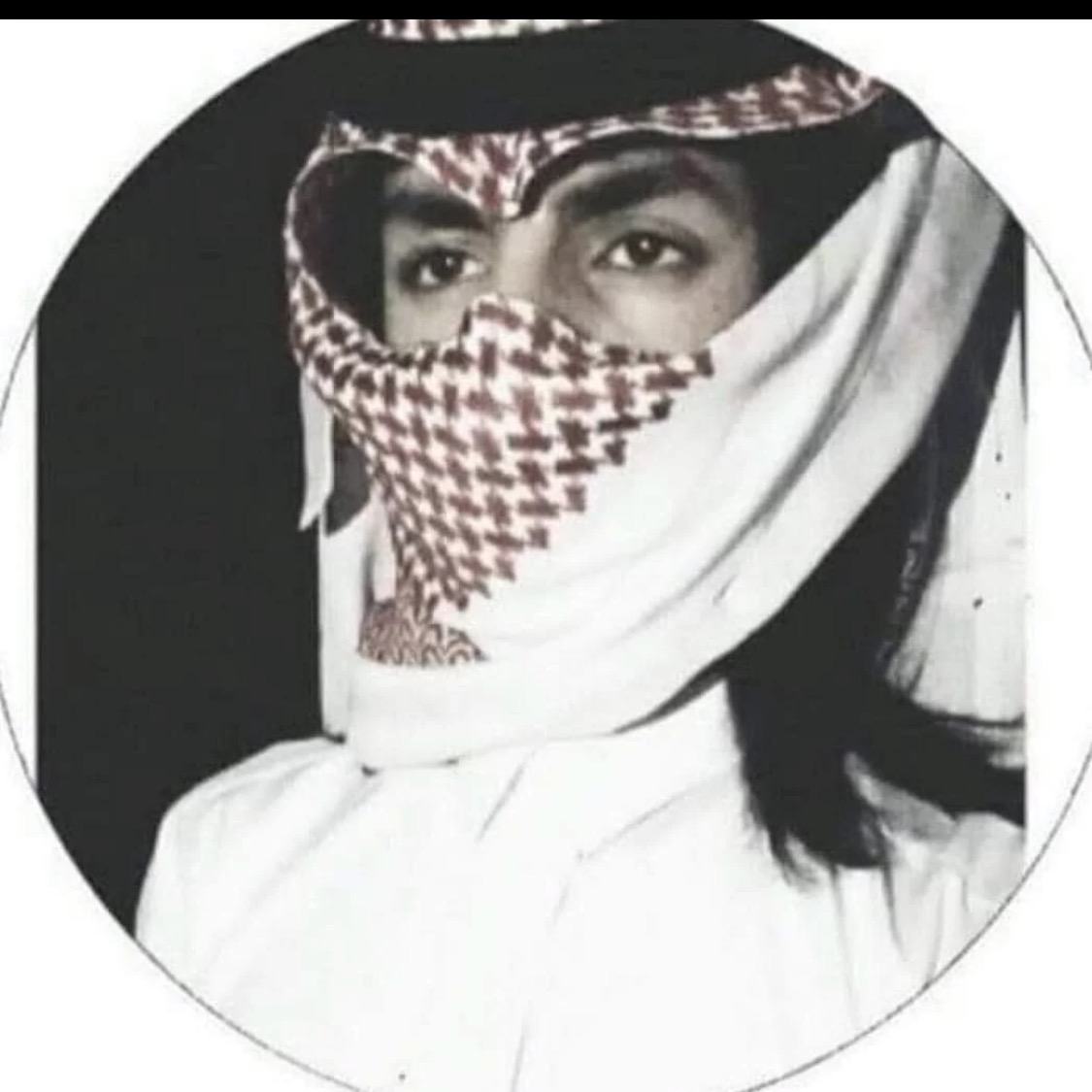 آلصقرآلجارح user2222025629537