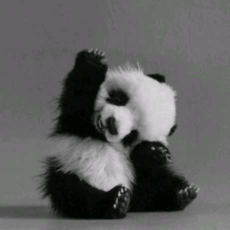 PaNdA🐼😜 my..pandis01