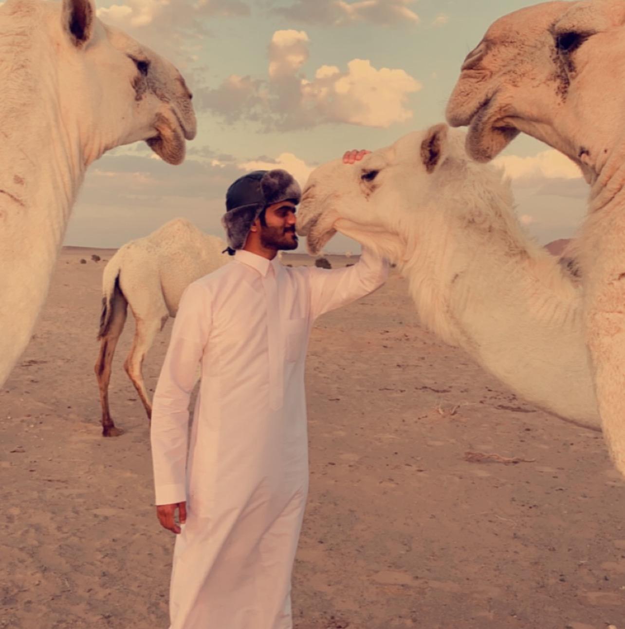 مشعل 5.vp