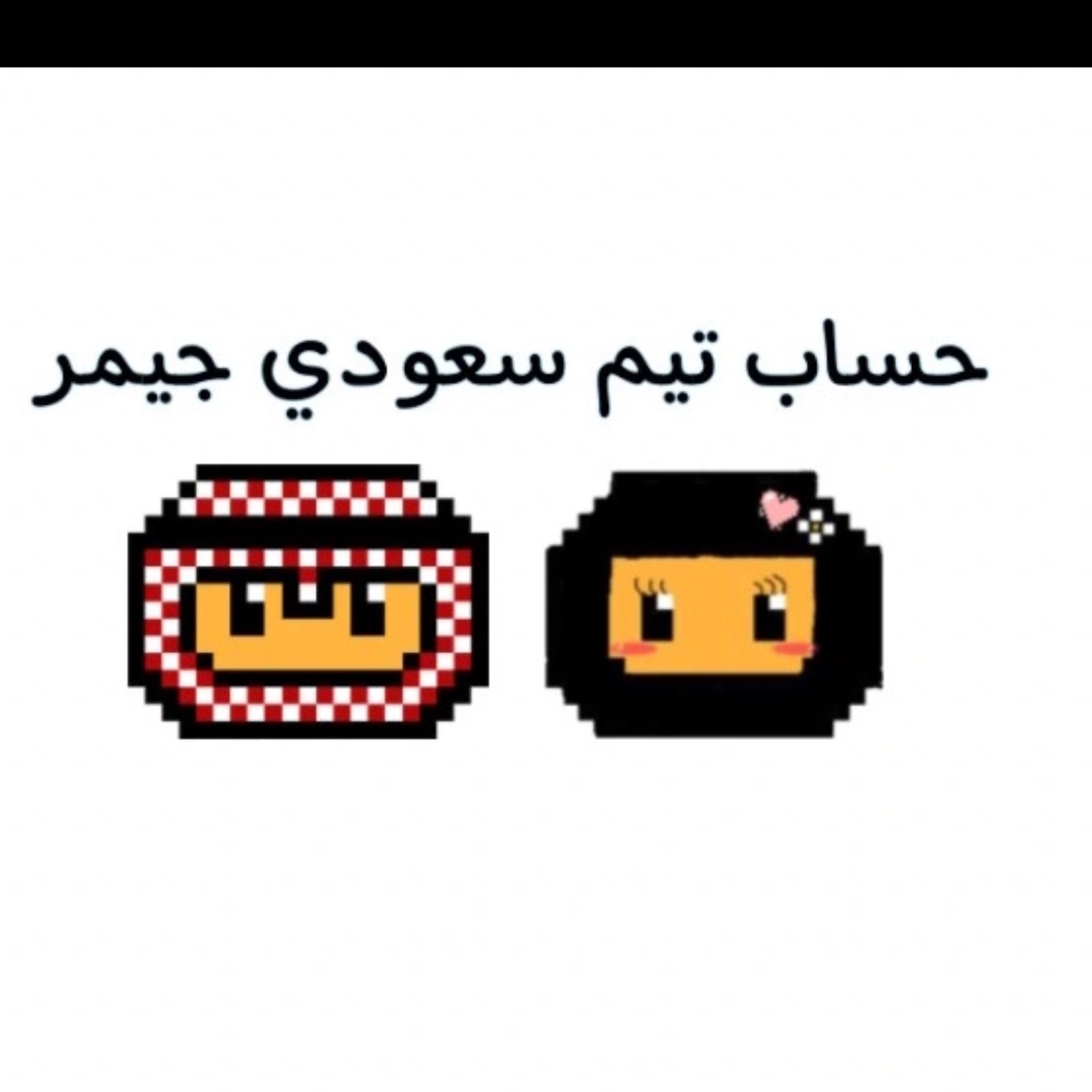 تيم جيش سعودي قيمر dpubg7