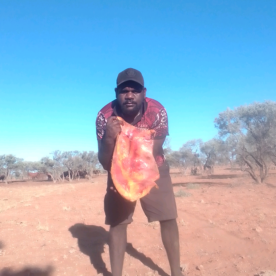 Zimran Ross830 zimranross2