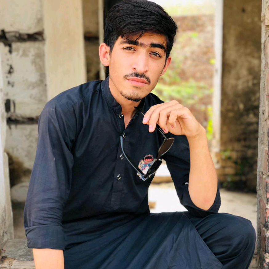 Salman Safi salmansafi310