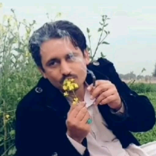 Mir Alam miralam27