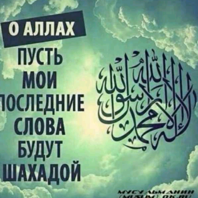 Мухаммад q1w2e3r4t5y355