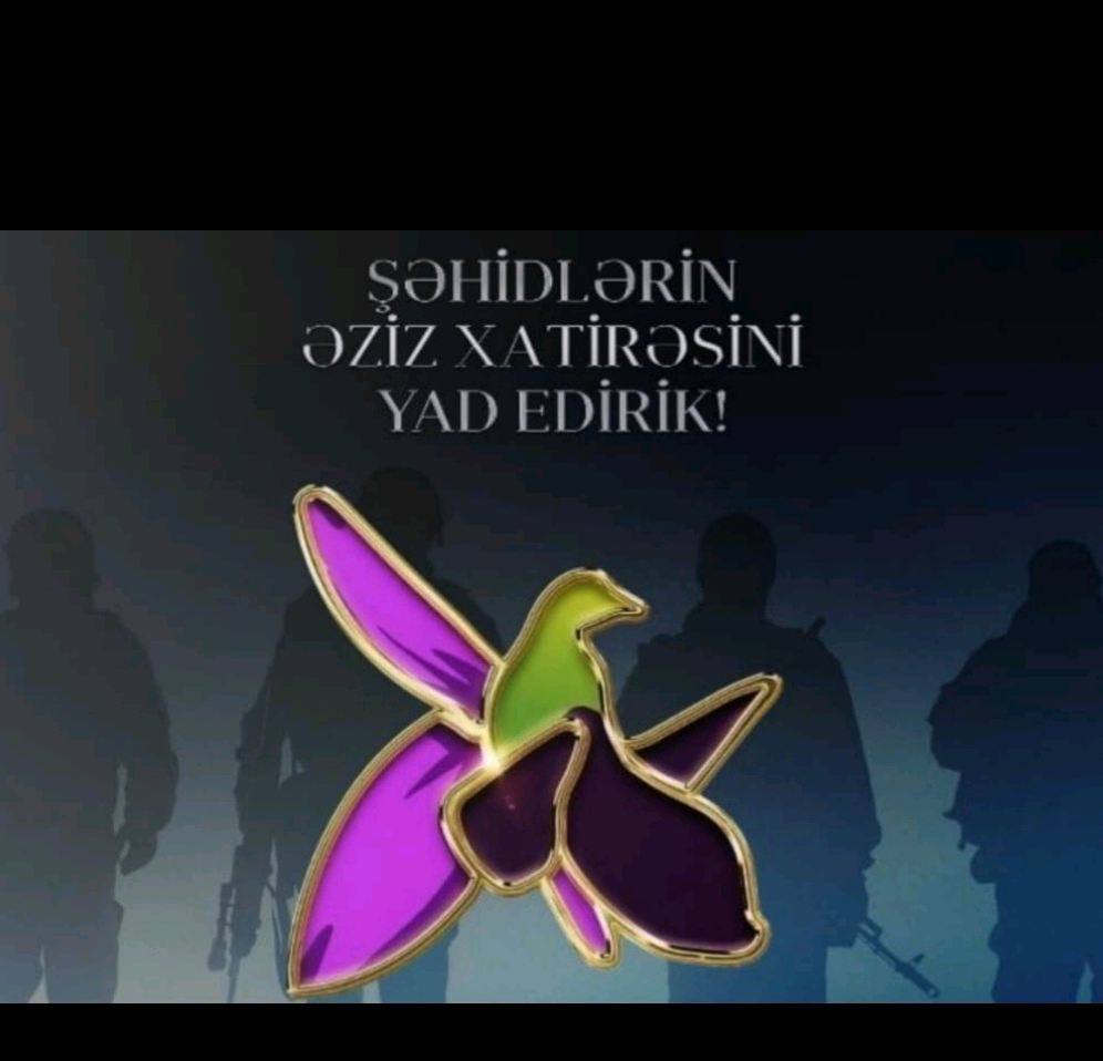 elvinrehmanov21 elvinrehmanov21