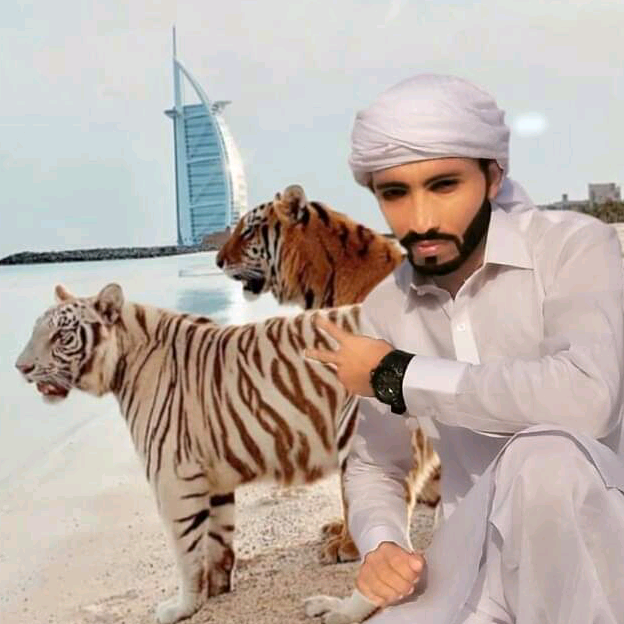 RASHID KHAN   U A E 🇦🇪🇵🇰 dubai_uaes