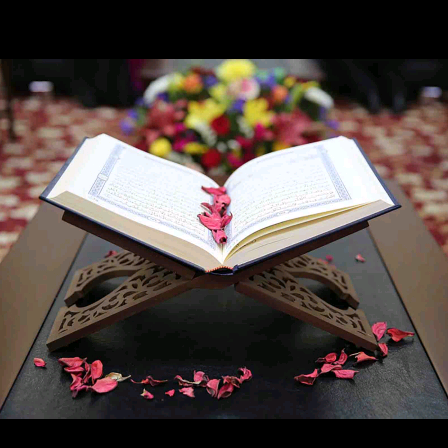 ❤️فرح❤️ user83889775