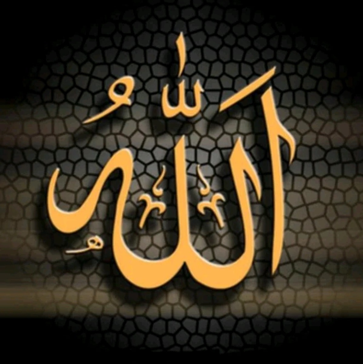 ❤القران📖الكريم❤ siraj_khan_official1
