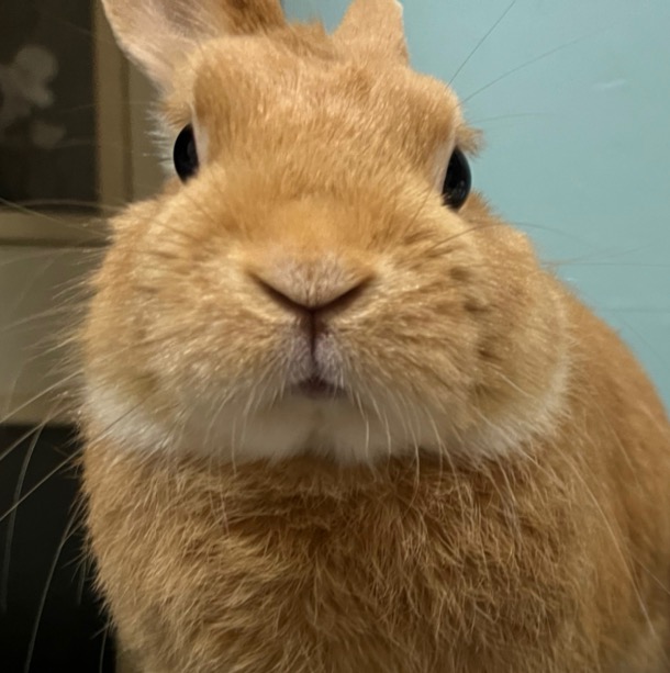 まりまりたん marimaritan