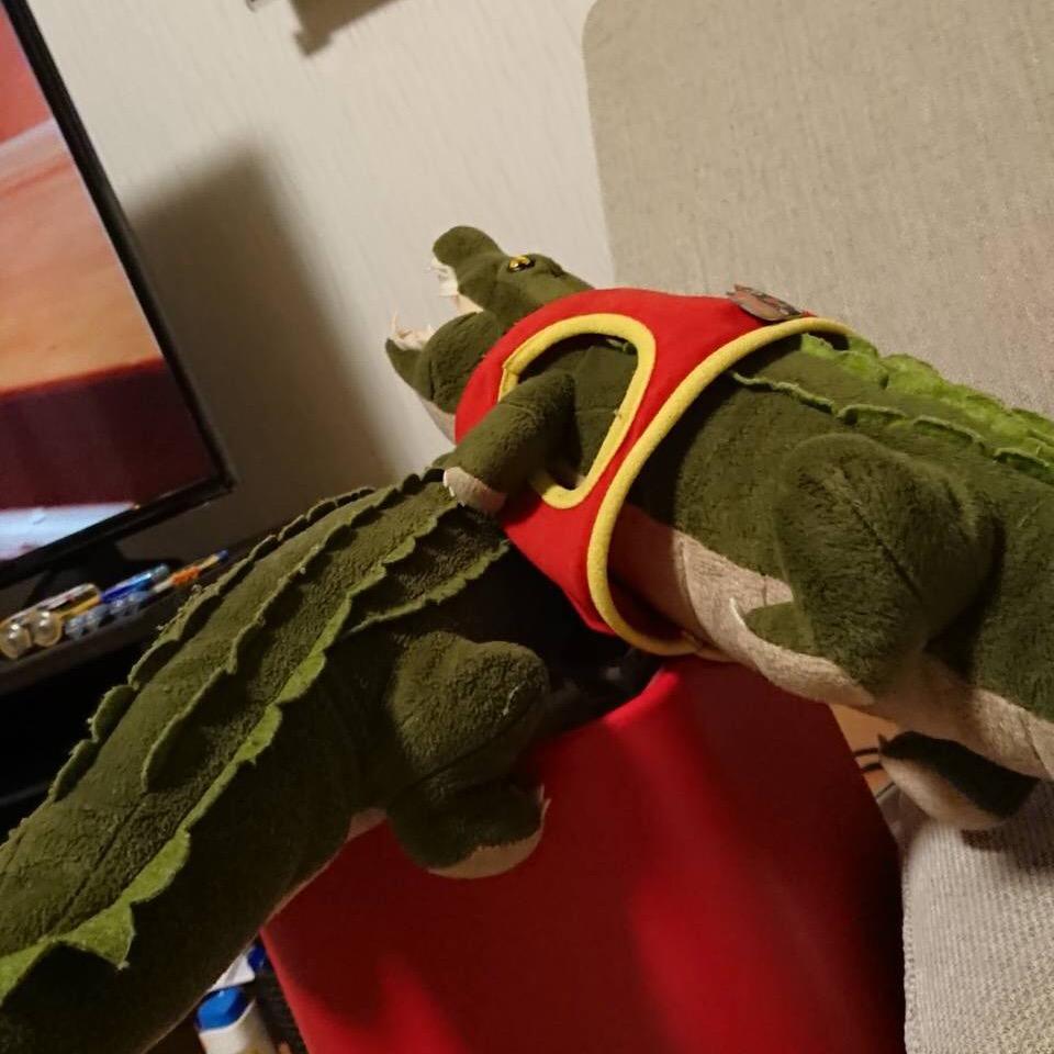 🐊wanip🐊 ⚔️🧜‍♂️🏴‍☠️🤟 wanipi1