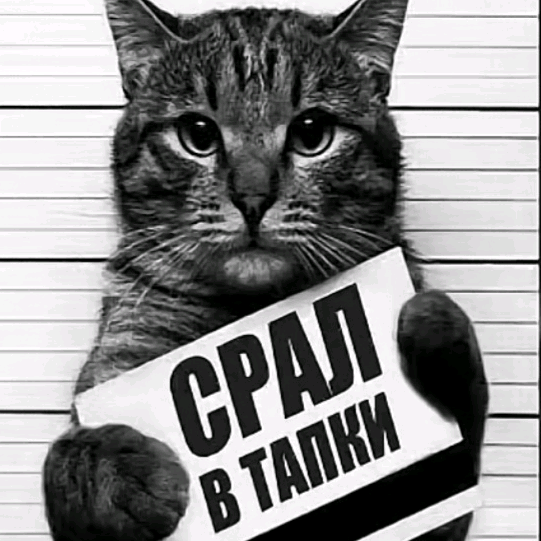 lyntik39 lentil393
