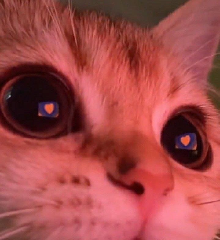 Roblox 🤟 roblox._.julia28