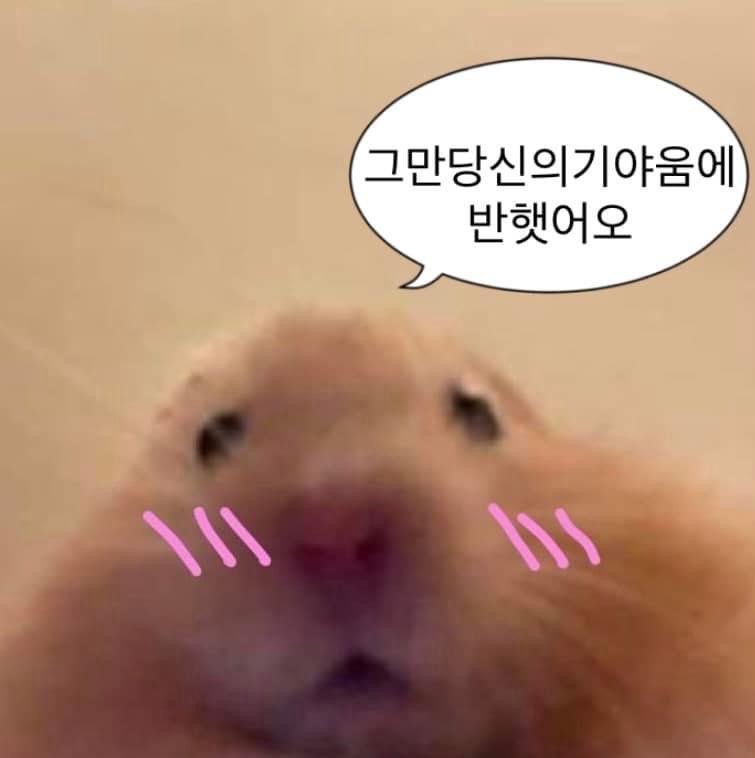라푼젤 00.0_0._.0