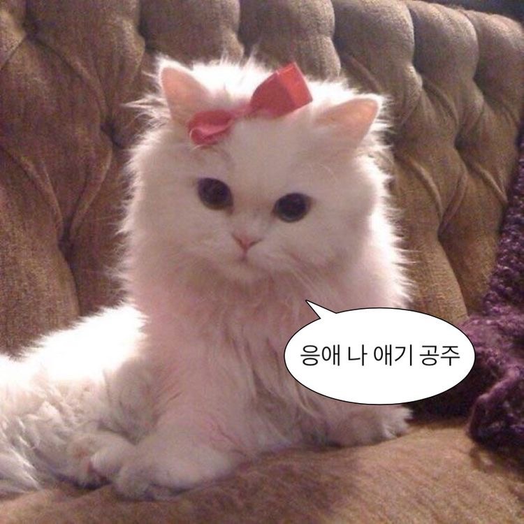 뿌릉 723_e