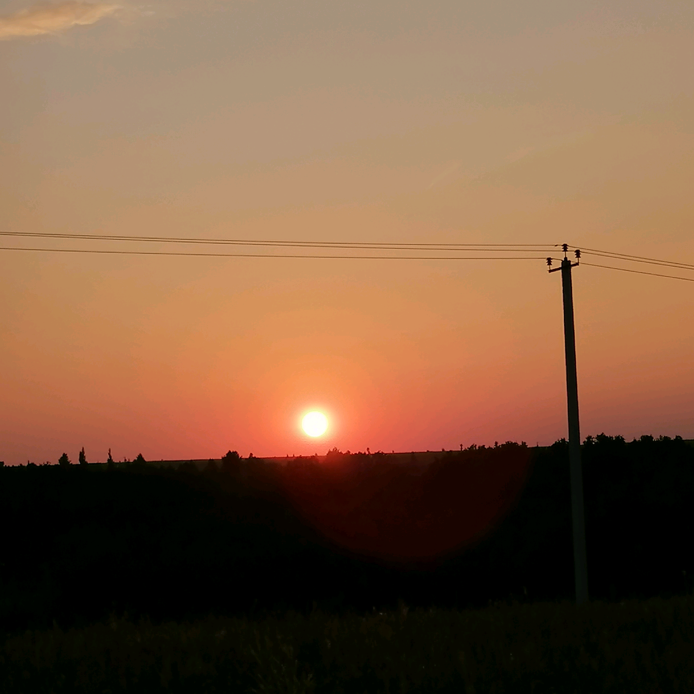 Рома elonmuks_102