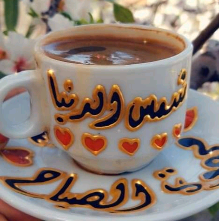 شمس الدنيا wardt.almdee
