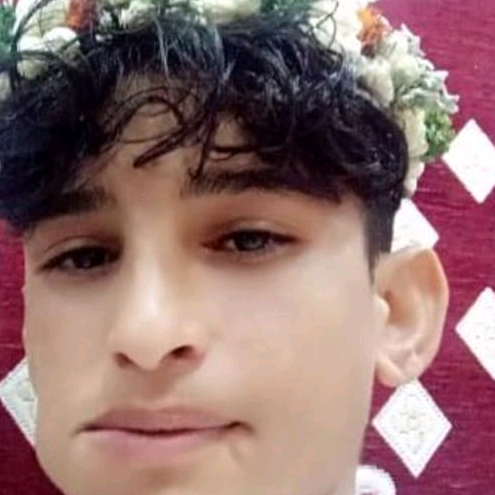 علي بن علي الزيلعي user3068550486624
