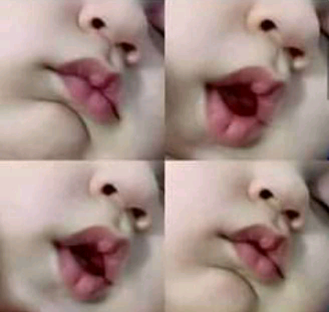iyade 29 iyade89