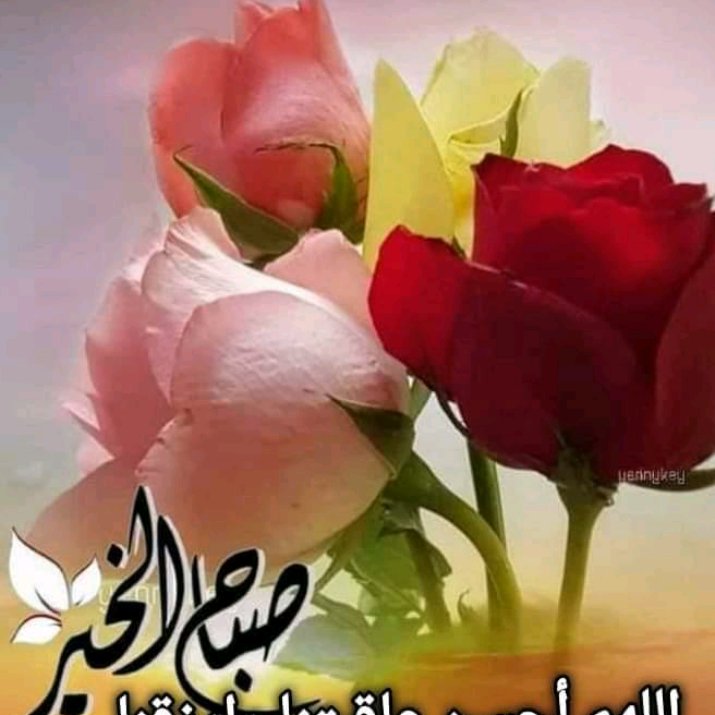 khadijarajawia447 khadijarajawia447