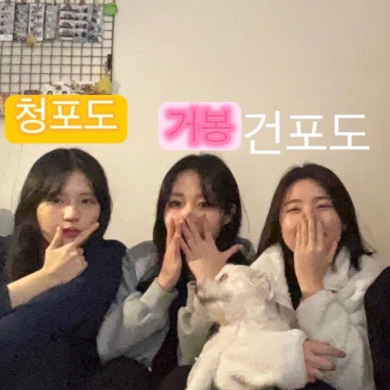 포도즈 dkwl0205