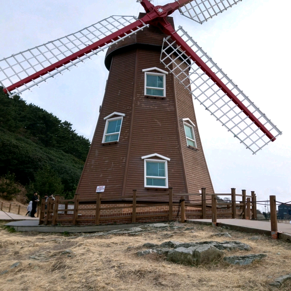 이째리 sojdjwohrq