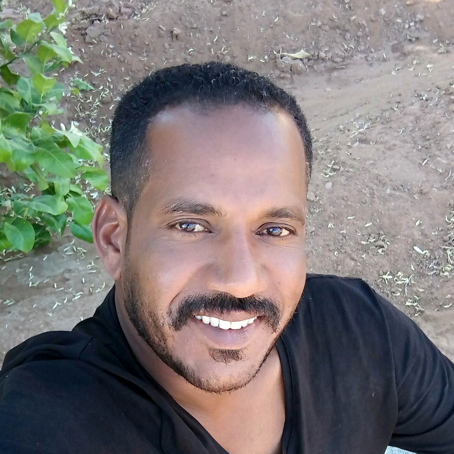 محمد مصطفى mohamedredamoh2