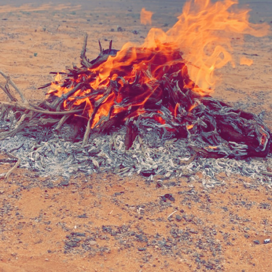 احمد ahmedad449