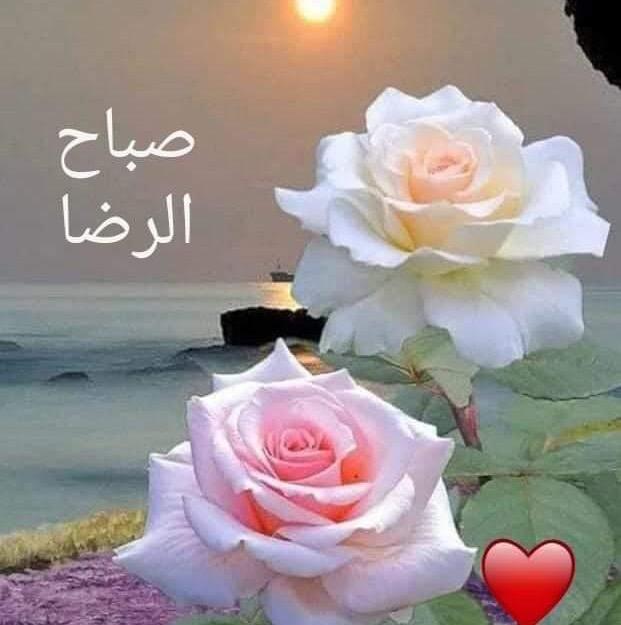 Sameh mohamed samehmohamed585