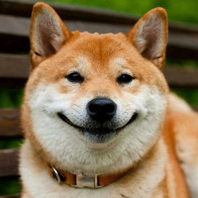 funpay.1 funpay.1