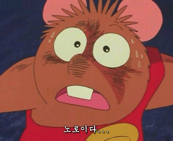 노로이다 jhhhh089