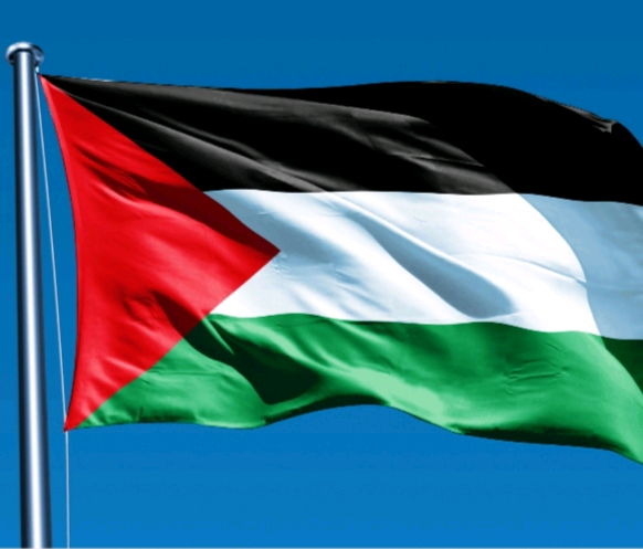 ABNジPALESTINE adamawadallahi0