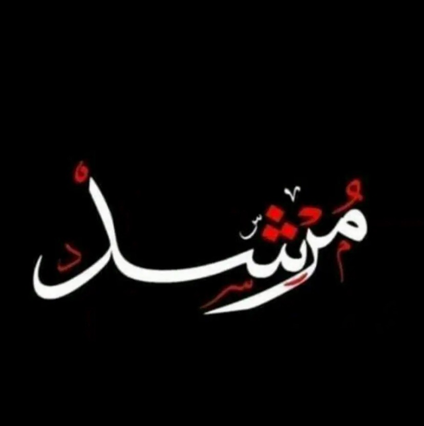 user197831836061 zakhmidon134