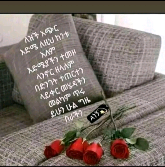 user5700028756339 user5700028756339
