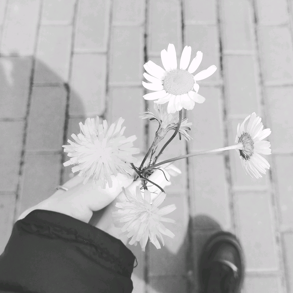 🥀gül_VƏ_yaz🍃 elgul_567